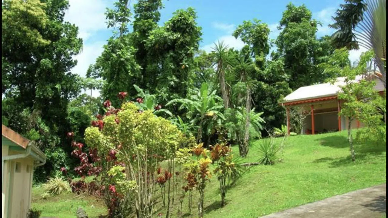 Apartment Bungalows Petite Tracee Hotel Gros-Morne